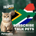 The Booming Pet Market in South Africa